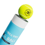 Dog Ball - 3x Tennis Balls