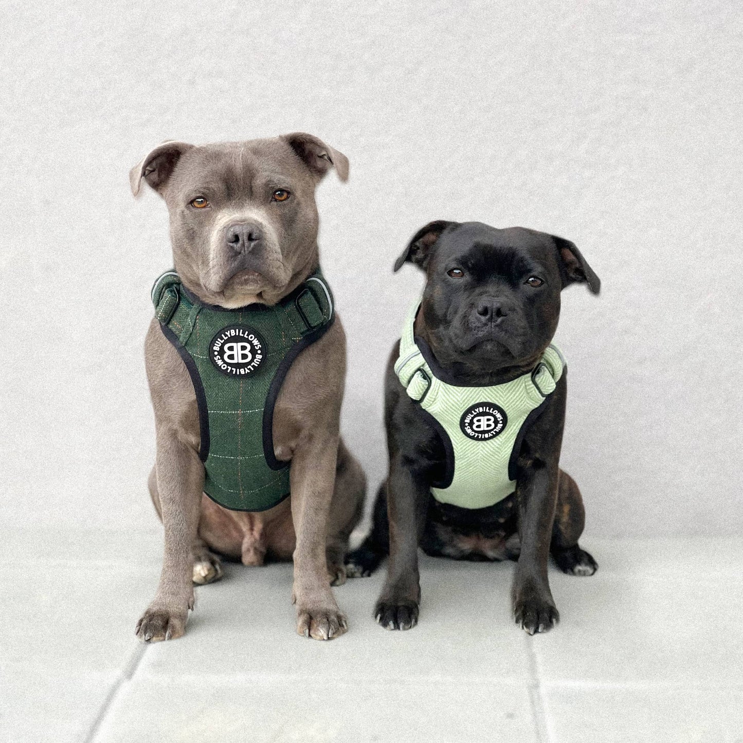 Premium Comfort Herringbone Harness | Non Restrictive & Adjustable - Mint Green