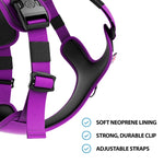 Hurricane Harness - Non Restrictive, With Handle, Adjustable & Reflective - All Breeds - Purple