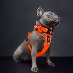 Hurricane Harness - Non Restrictive, With Handle, Adjustable & Reflective - All Breeds - Black