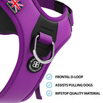 Hurricane Harness - Non Restrictive, With Handle, Adjustable & Reflective - All Breeds - Purple