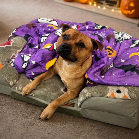 Halloween BooBillows - Purple | Luxury Human & Dog Blanket