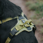 Hurricane Harness - Non Restrictive, With Handle, Adjustable & Reflective - All Breeds - Carminerose