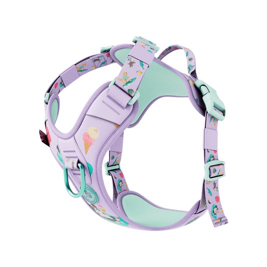 Anti Pull Hurricane Harness Lighter | With Handle - BalmyBillows Purple