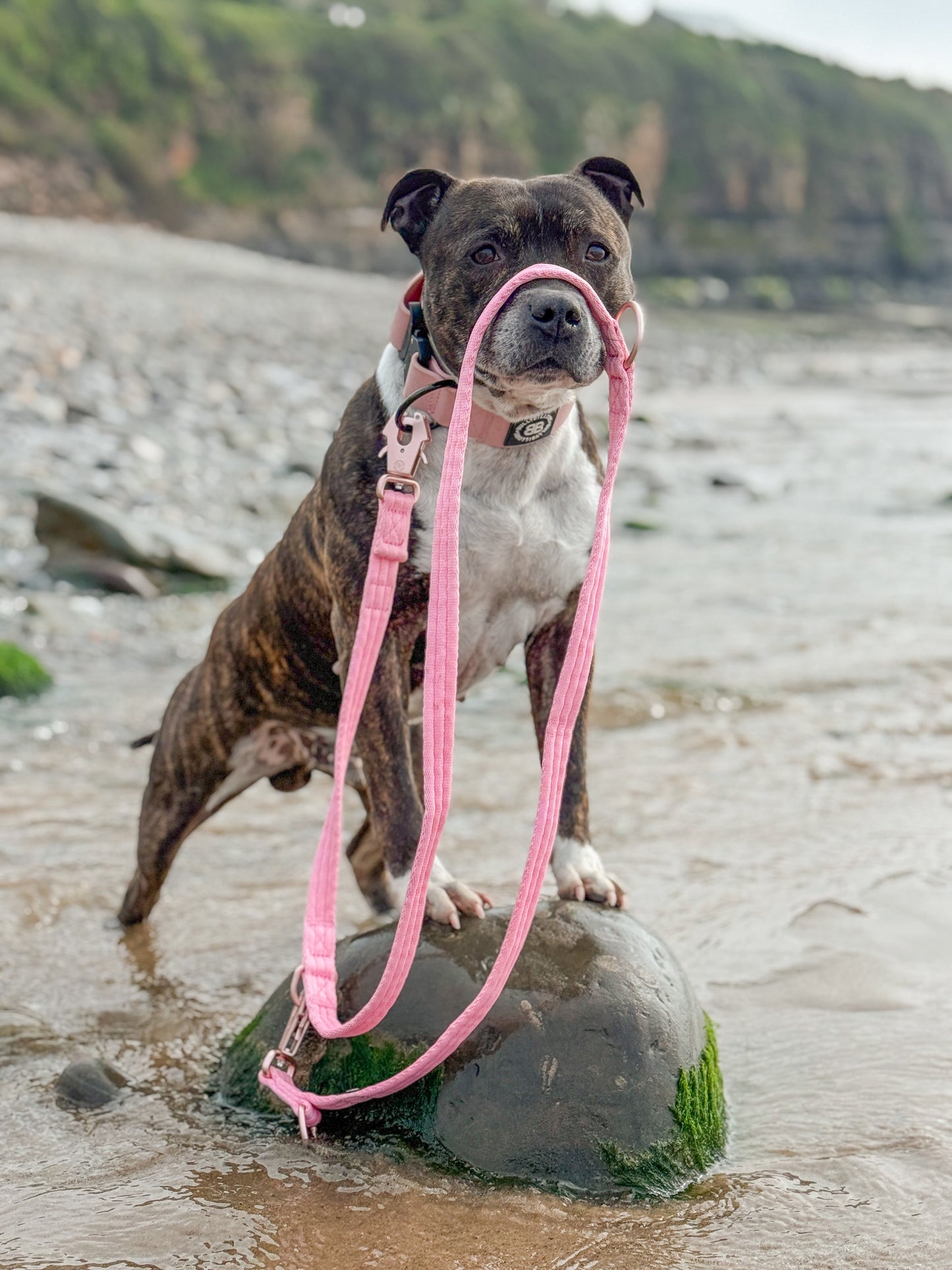 Lightweight Training Double Ended Dog Lead | 2m Length - Black