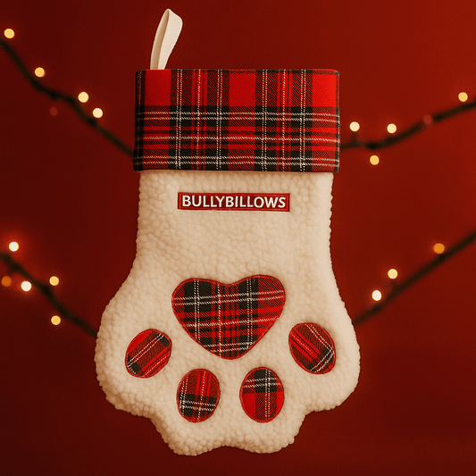 Paw Christmas Stocking
