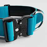 5cm Combat® Collar | With Handle & Rated Clip - Light Blue v2.0