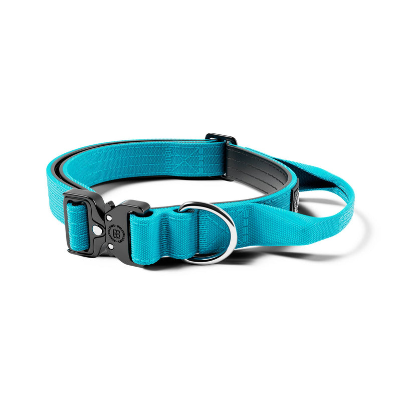 2.5cm Combat® Collar | With Handle & Rated Clip - Light Blue v2.0