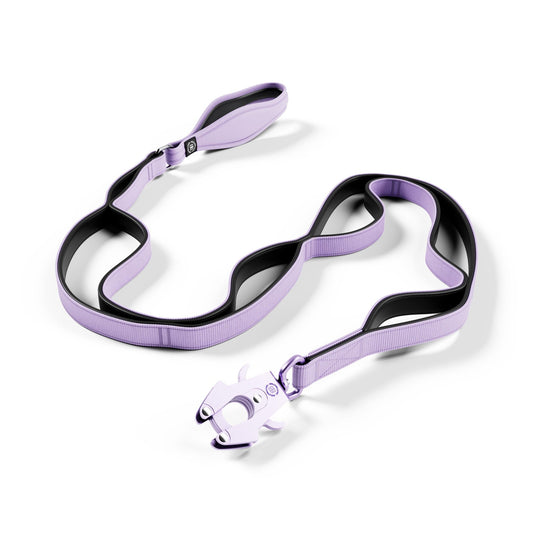 Ladder Combat® Multiple Handles Lead - Lavender
