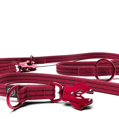 Lightweight Training Double Ended Dog Lead | 2m Length - Burgundy