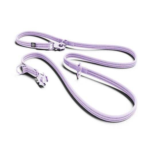 Lightweight Training Double Ended Dog Lead | 2m Length - Lavender Ube