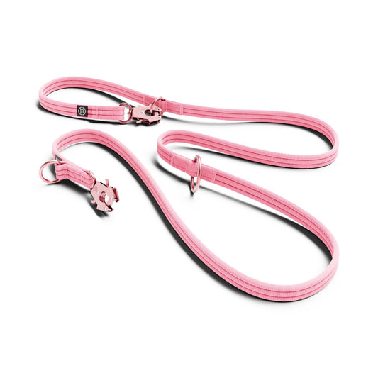 Lightweight Training Double Ended Dog Lead | 2m Length - Pink