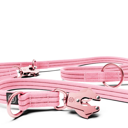 Lightweight Training Double Ended Dog Lead | 2m Length - Pink