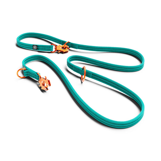 Lightweight Training Double Ended Dog Lead | 2m Length - Turqouise x Orange