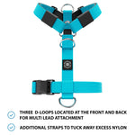 Training No Pull TRI-Harness® | Small Breeds - Light Blue