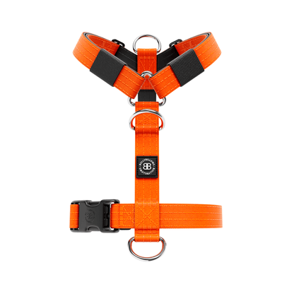 Training No Pull TRI-Harness® | Small Breeds - Orange