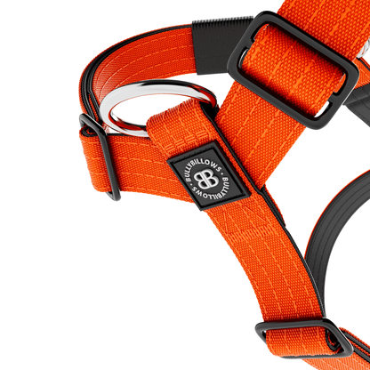 Training No Pull TRI-Harness® | Small Breeds - Orange
