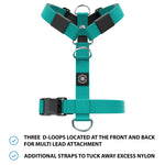 Training No Pull TRI-Harness® | Small Breeds - Turquoise