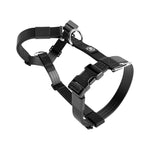 Training No Pull TRI-Harness® | Small Breeds - Black