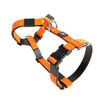 Training No Pull TRI-Harness® | Small Breeds - Orange