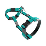 Training No Pull TRI-Harness® | Small Breeds - Turquoise