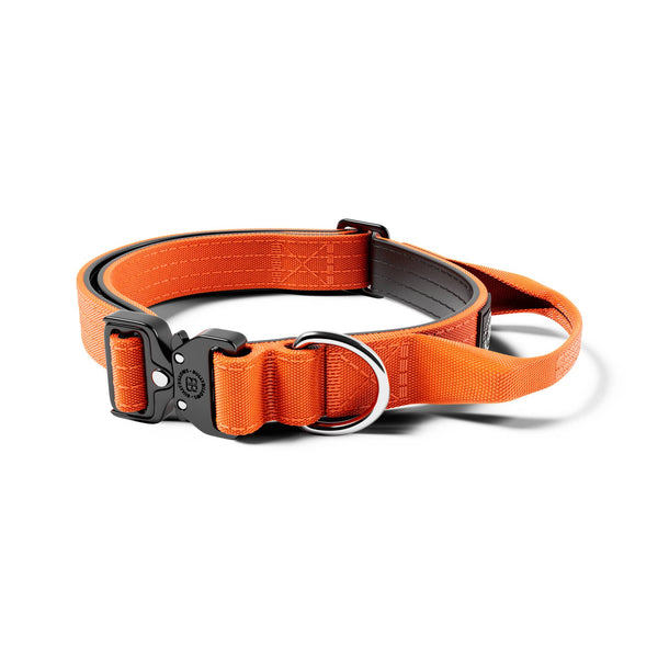 2.5cm Combat® Collar | With Handle & Rated Clip - Orange v2.0
