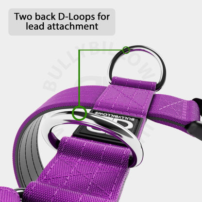 TRI-Harness® | Anti-Pull, Adjustable & Durable - Dog Trainers Choice - Purple v2.0