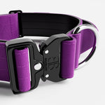 5cm Combat® Collar | With Handle & Rated Clip - Purple v2.0