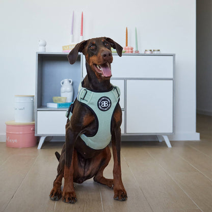 Premium Comfort Herringbone Harness | Non Restrictive & Adjustable - Mint Green
