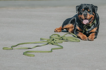 10m Recall Billowthane® Lead | Waterproof - Matte Khaki