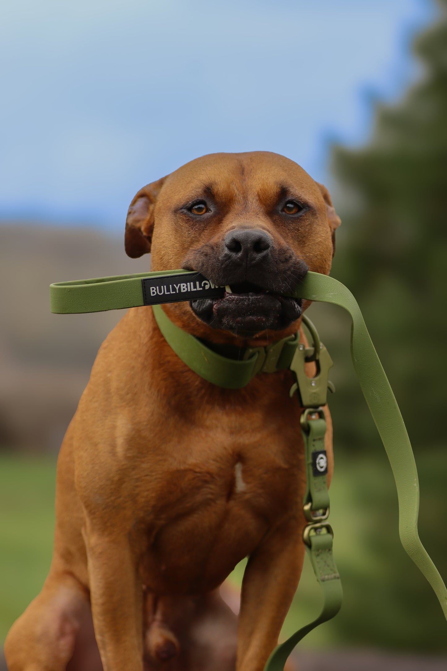 1.4m Billowthane® Swivel Lead | Waterproof - Matte Khaki