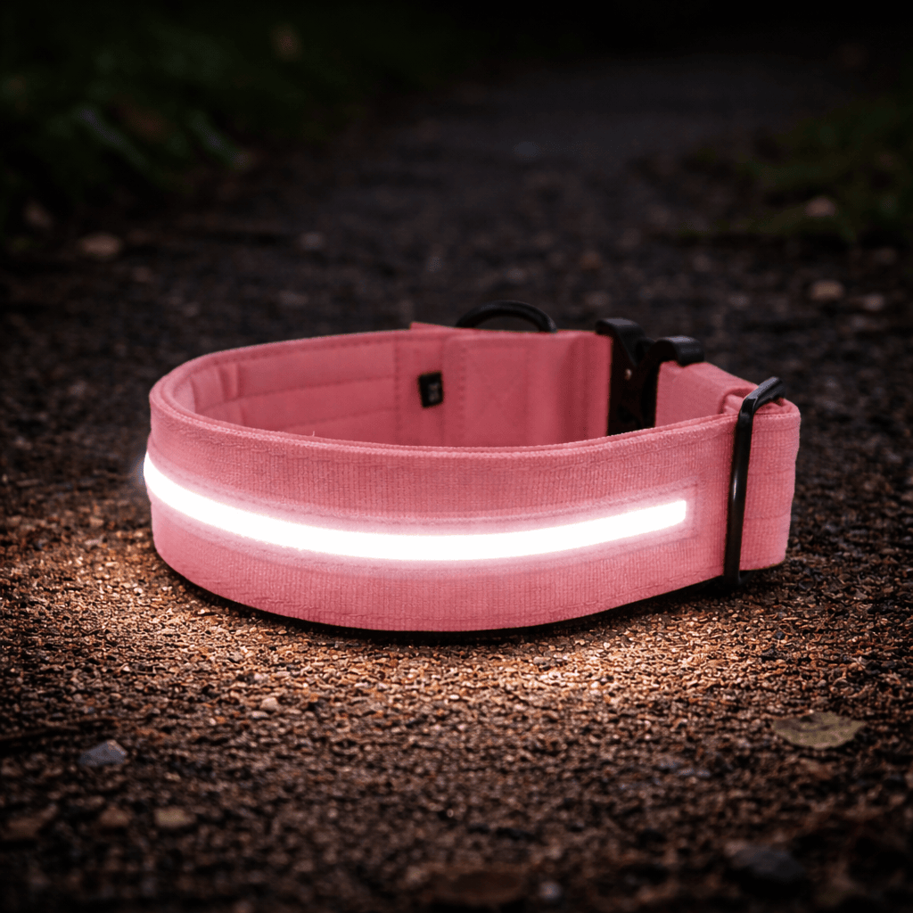4cm Light Up LED Combat® Collar | Handle - Pink