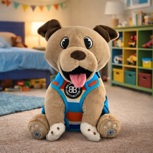 XL Bully Teddy