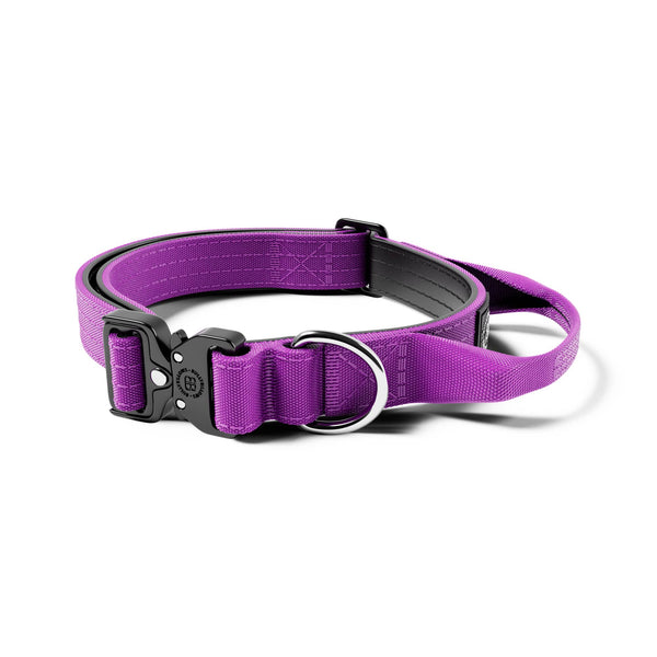 2.5cm Combat® Collar | With Handle & Rated Clip - Purple v2.0