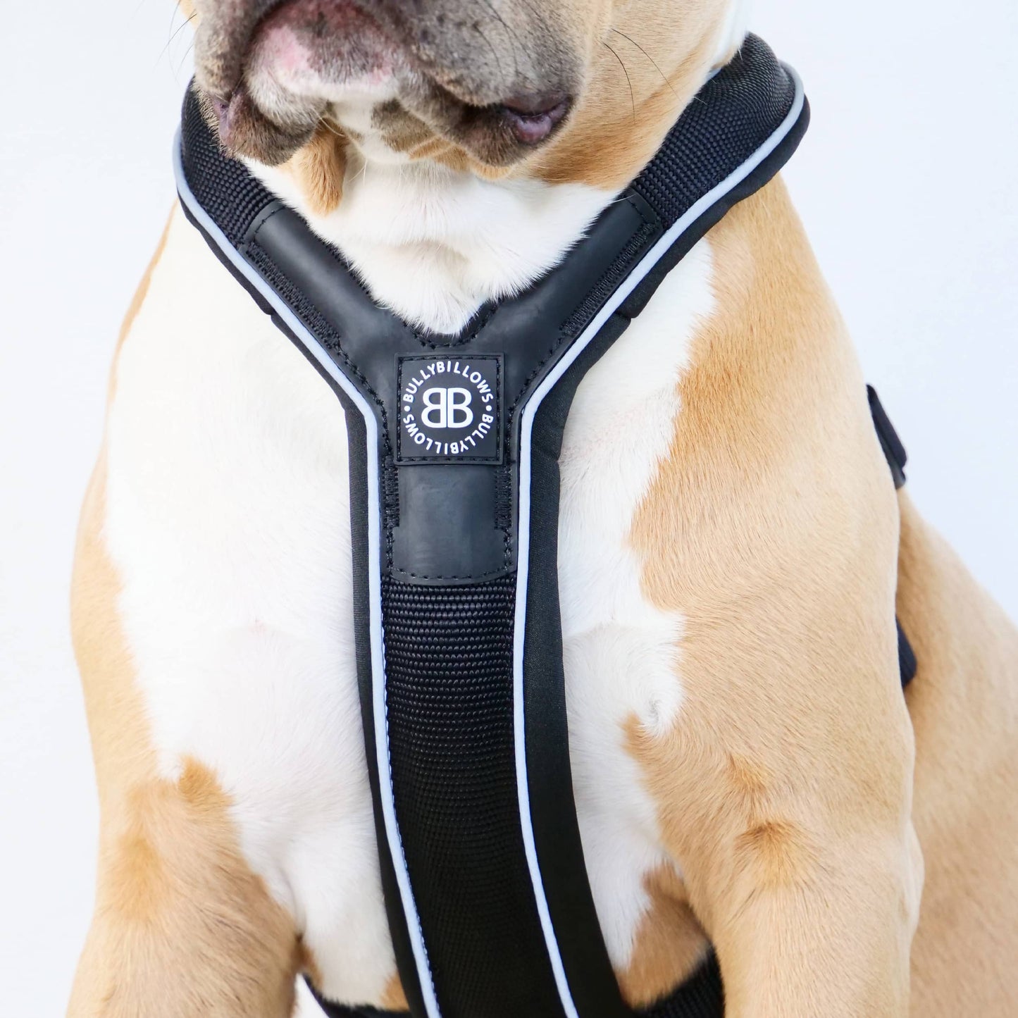 RR - Slip on Padded Comfort Harness | Non Restrictive & Reflective - Red