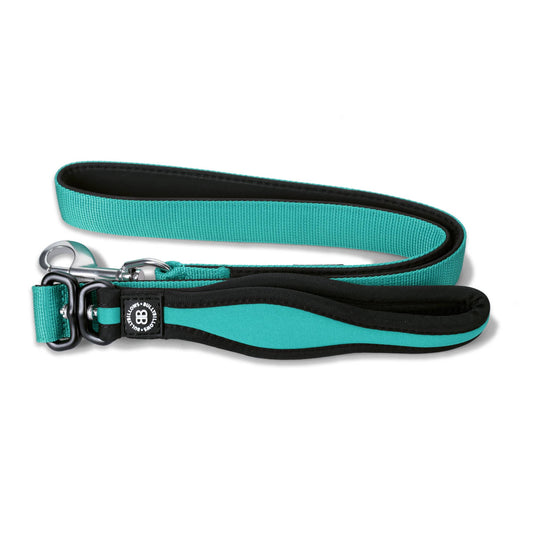 Nylon Snap Hook Lead | Series 2 - Turquoise