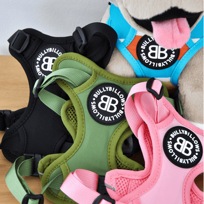 XL Bully Teddy Bear Harness | Pink