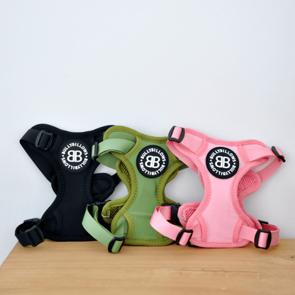 XL Bully Teddy Bear Harness | Black