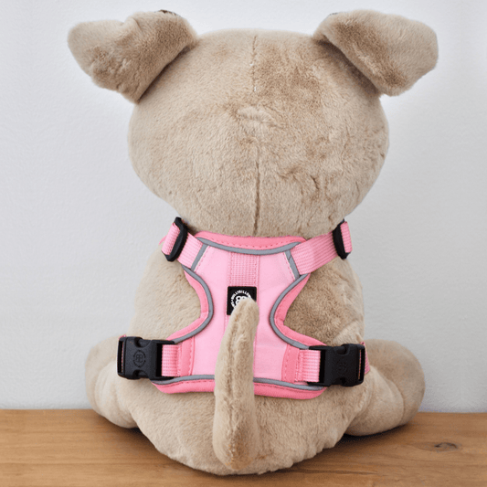XL Bully Teddy Bear Harness | Pink