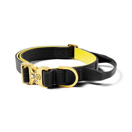 2.5cm LIGHTER Combat® Collar | With Handle Rated Clip - Black, Yellow & Gold