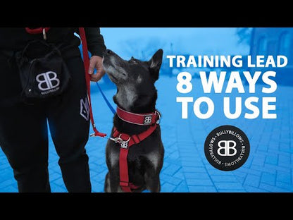 Double Ended Training Lead | All Breeds - Durable & Soft 2m Lead - Magenta