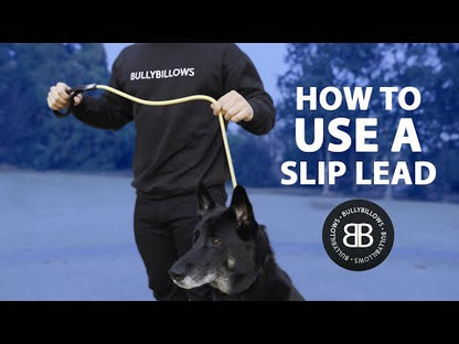 Slip Lead | Anti-Pull & Anti-Choking Training Lead - Orange