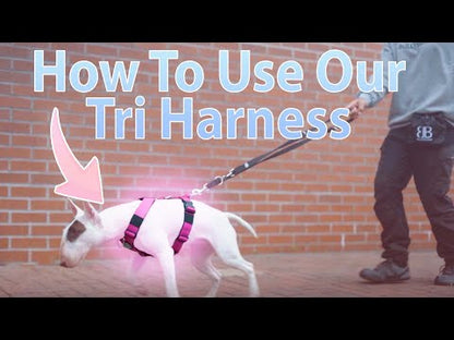 TRI-Harness® | Anti-Pull, Adjustable & Durable - Dog Trainers Choice -  CAMO Lightning v2.0