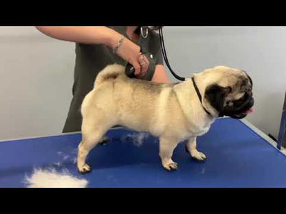 BullyBillows Complete Animal Deshedding Kit - Pink