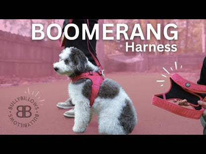Boomerang Harness - Non Restrictive, Lightweight, Small - Medium Breeds - Black