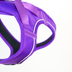 Step in Harness | Series 2 - Lightweight - Purple