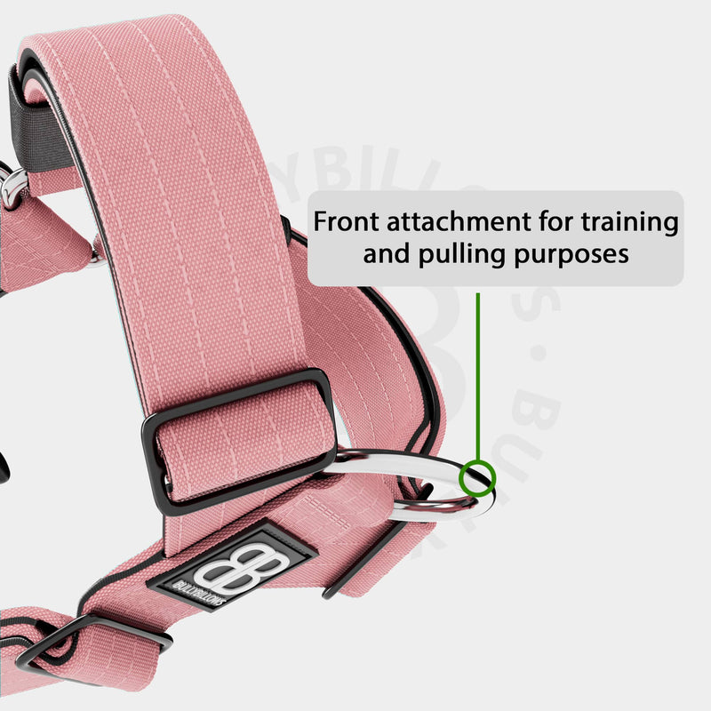 TRI-Harness®  Anti-Pull, Adjustable & Durable - Dog Trainers Choice - –  Harvey & Lola